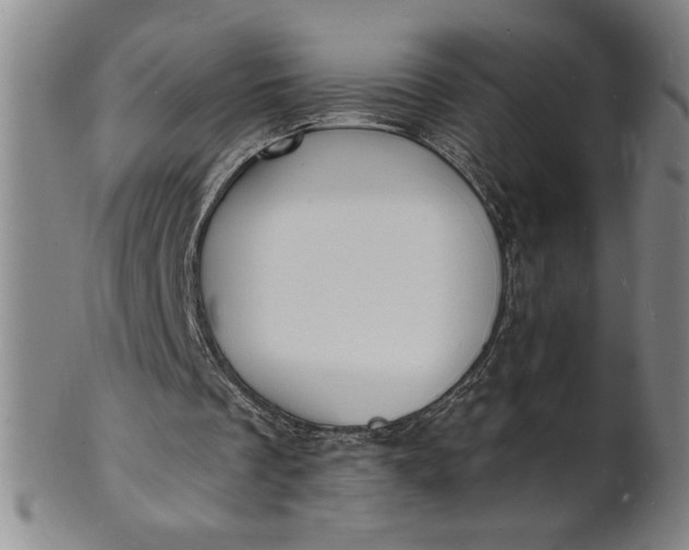 X0000102230289200808081354