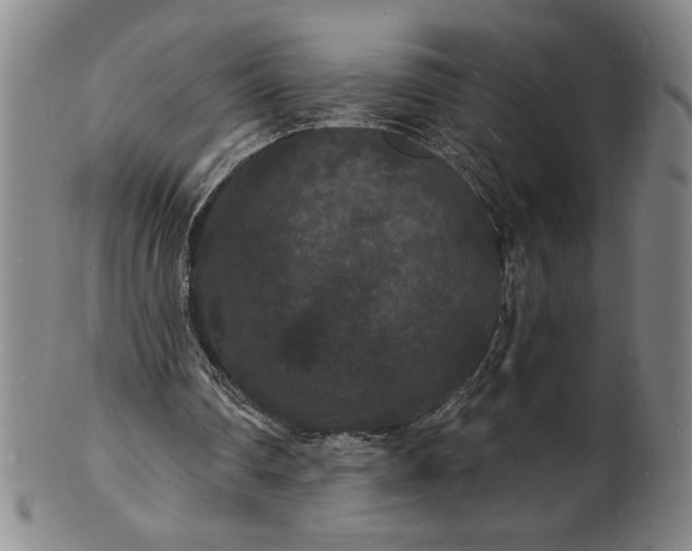 X0000102230290200808081354