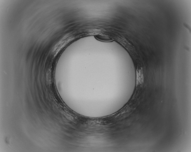 X0000102230291200808081354