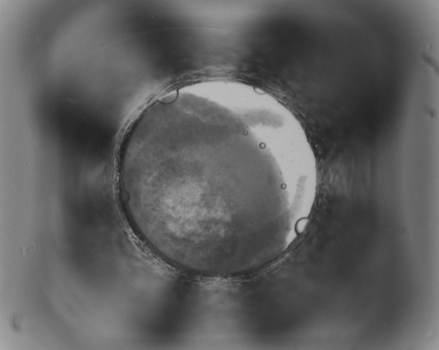 X0000102230293200808081354