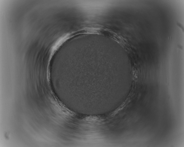 X0000102230294200808081353