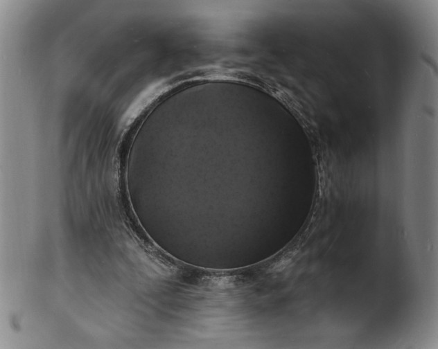 X0000102230295200808081353