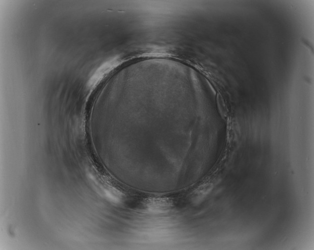 X0000102230296200808081353