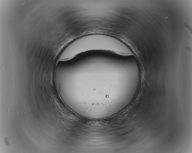 X0000102230297200808081353