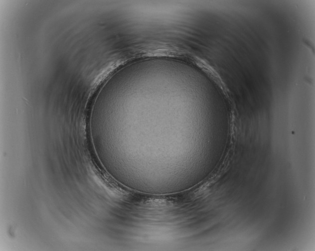 X0000102230298200808081353