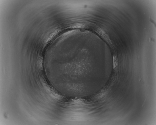 X0000102230300200808081353
