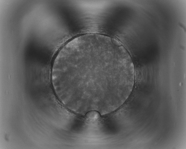 X0000102230301200808081353
