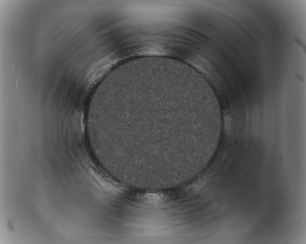 X0000102230302200808081353