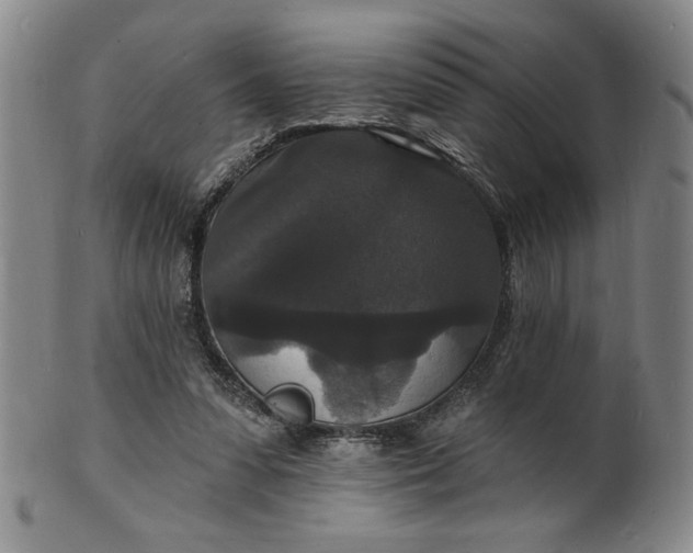 X0000102230303200808081353