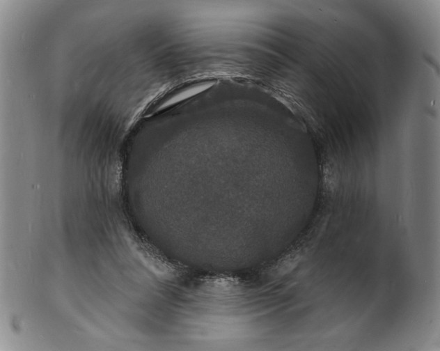 X0000102230304200808081353