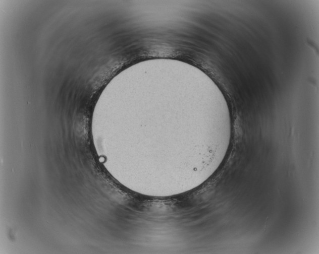 X0000102230305200808081353
