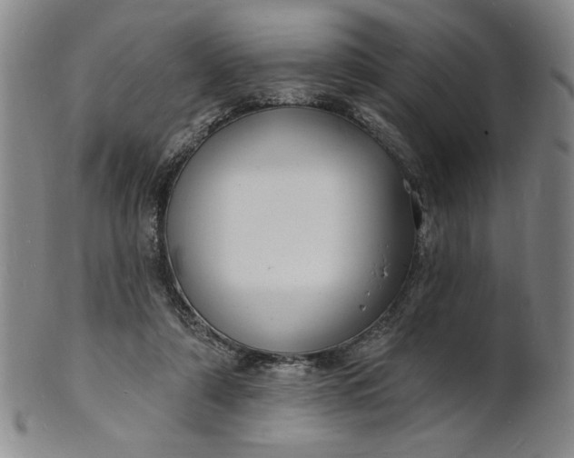 X0000102230306200808081353