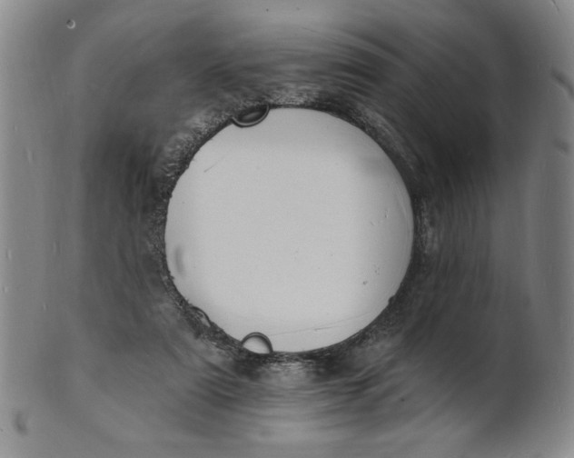 X0000102230307200808081353