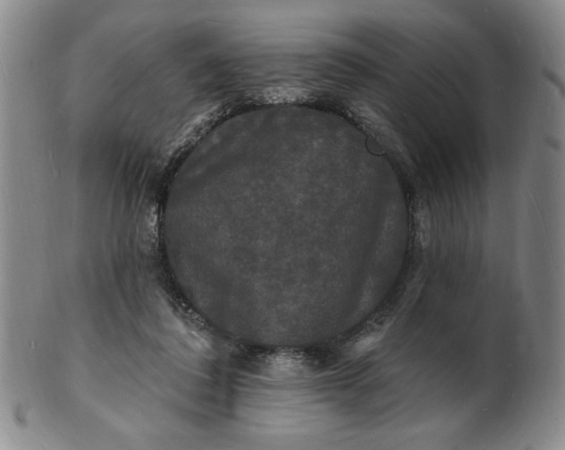 X0000102230308200808081353