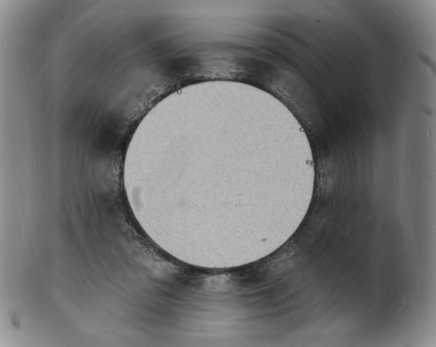 X0000102230309200808081353