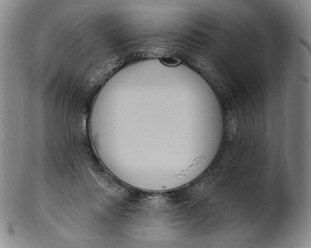 X0000102230310200808081353