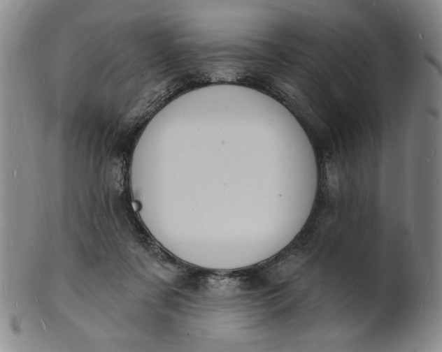 X0000102230311200808081353