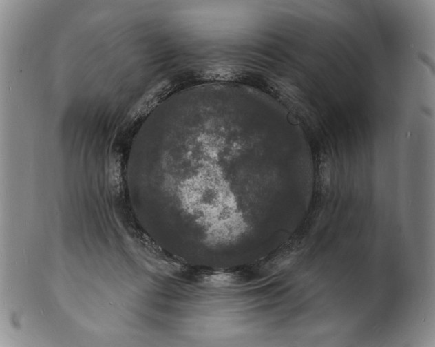 X0000102230312200808081353
