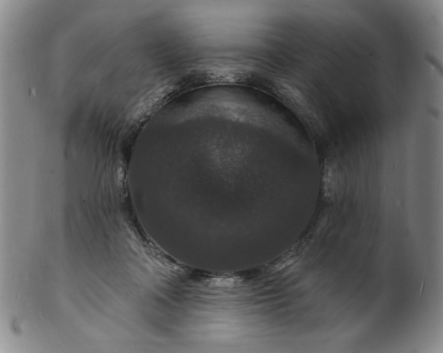 X0000102230314200808081353