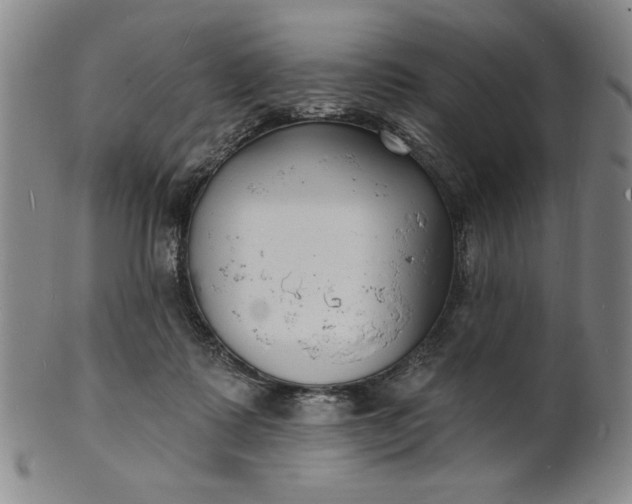 X0000102230315200808081353