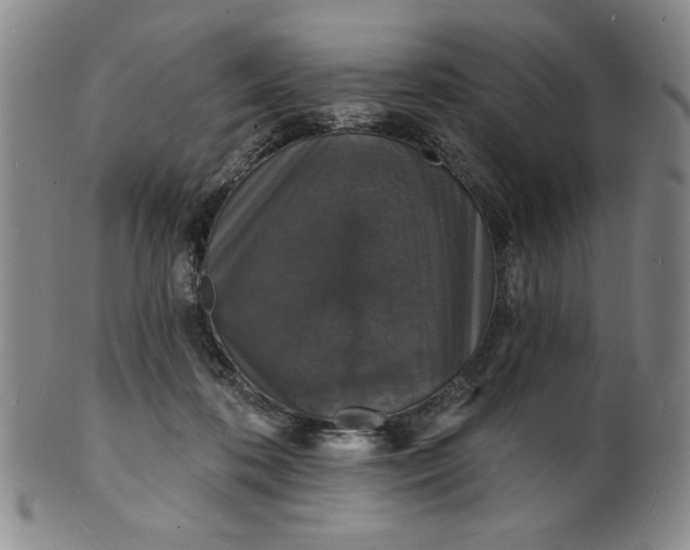 X0000102230316200808081353