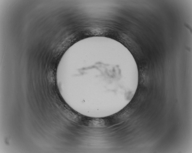 X0000102230317200808081353