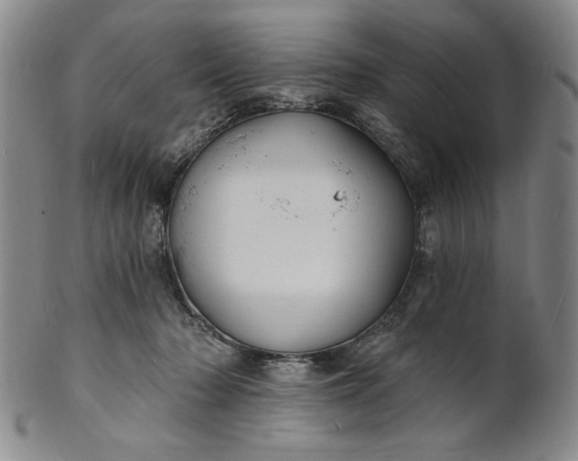 X0000102230318200808081353