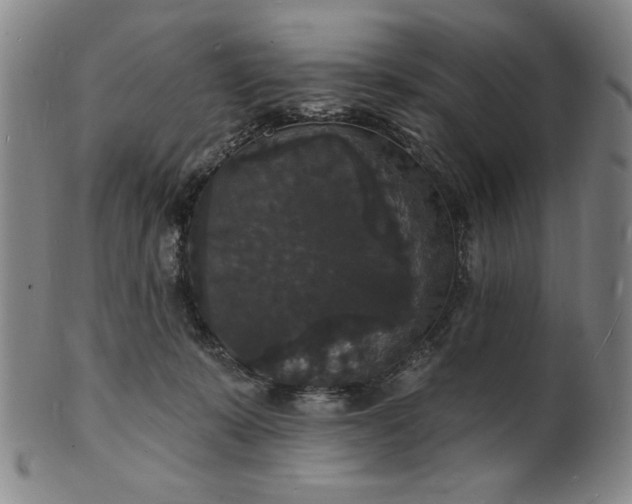 X0000102230319200808081353