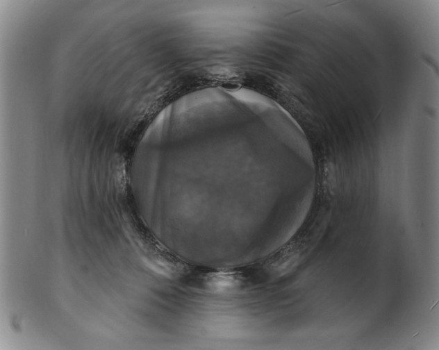 X0000102230320200808081353