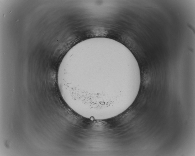 X0000102230321200808081353