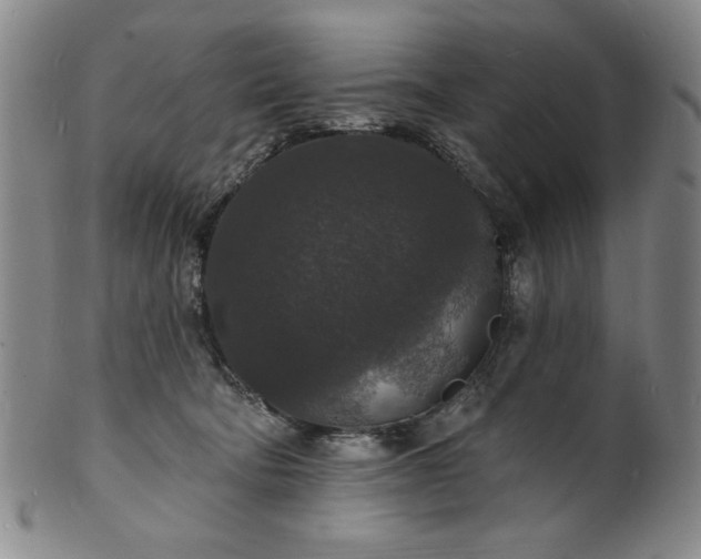 X0000102230322200808081353