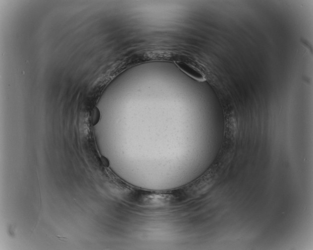 X0000102230323200808081353