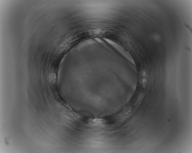 X0000102230324200808081353