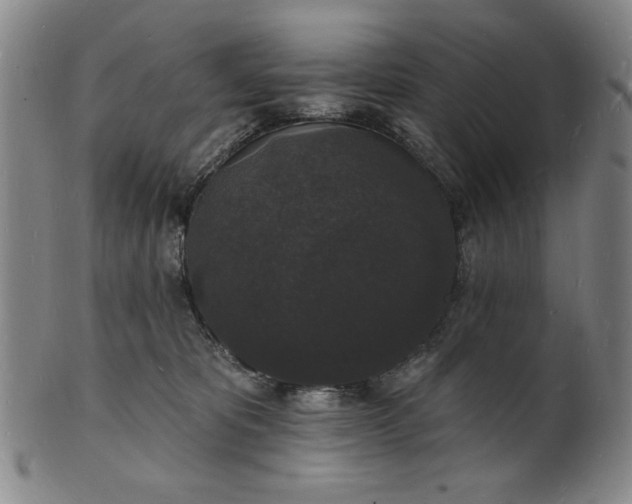 X0000102230325200808081353