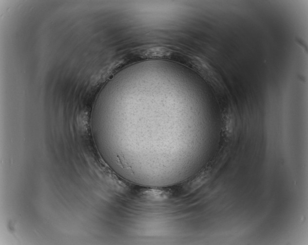 X0000102230326200808081353