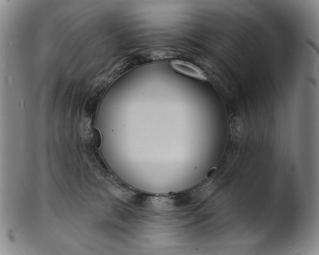 X0000102230327200808081353