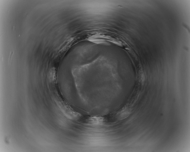 X0000102230328200808081353