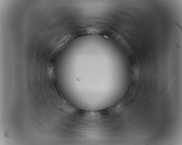 X0000102230329200808081353