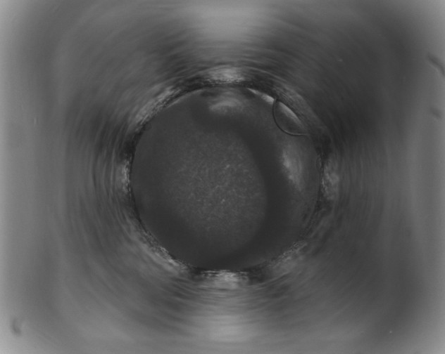 X0000102230330200808081353