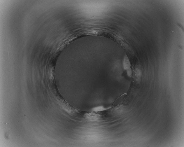 X0000102230331200808081353