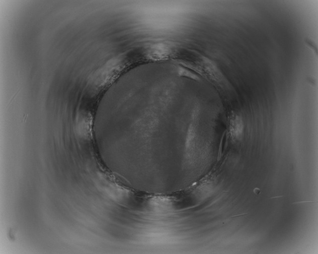 X0000102230332200808081353