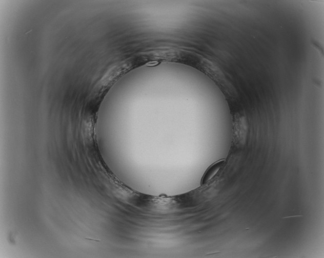 X0000102230333200808081353
