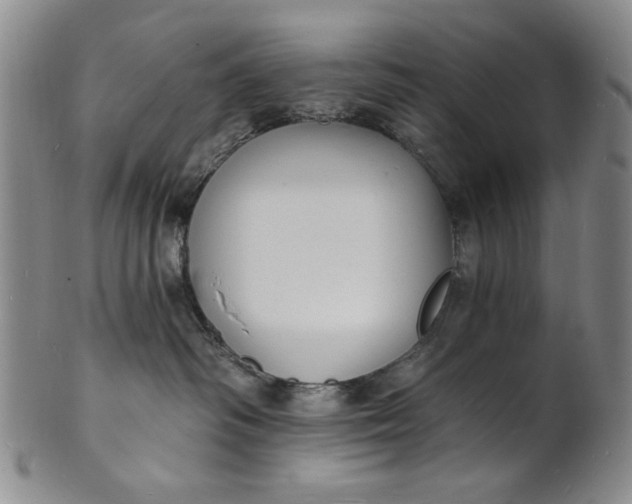 X0000102230334200808081353