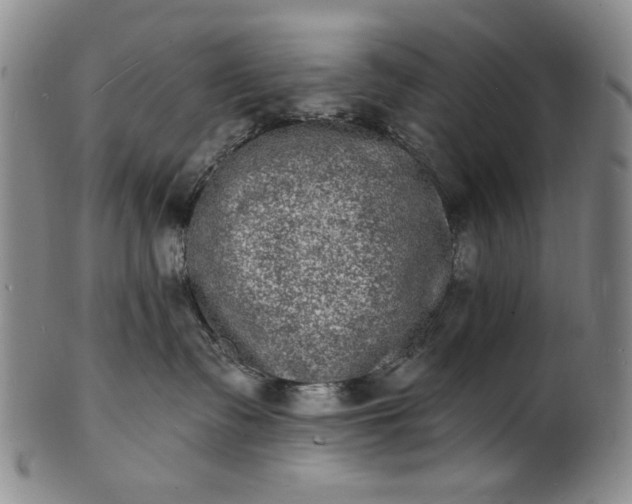 X0000102230335200808081353