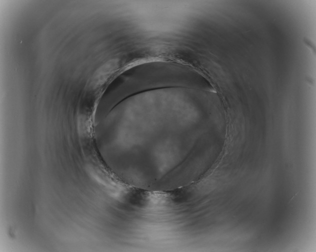 X0000102230336200808081353