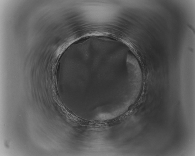 X0000102230337200808081352
