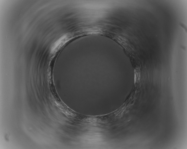 X0000102230339200808081352