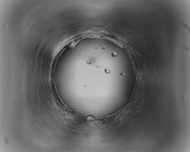 X0000102230340200808081352