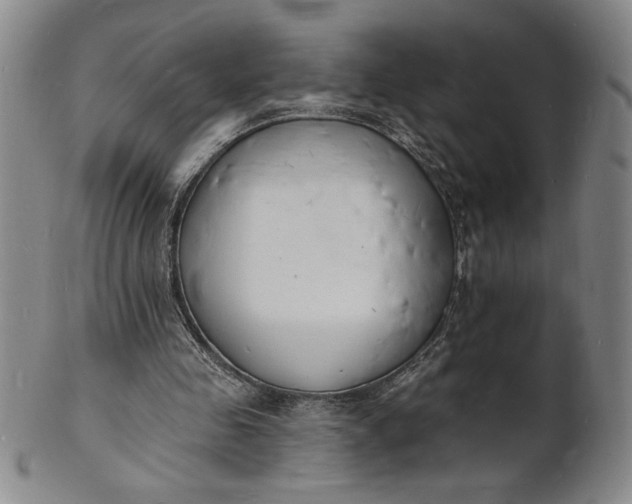X0000102230341200808081352