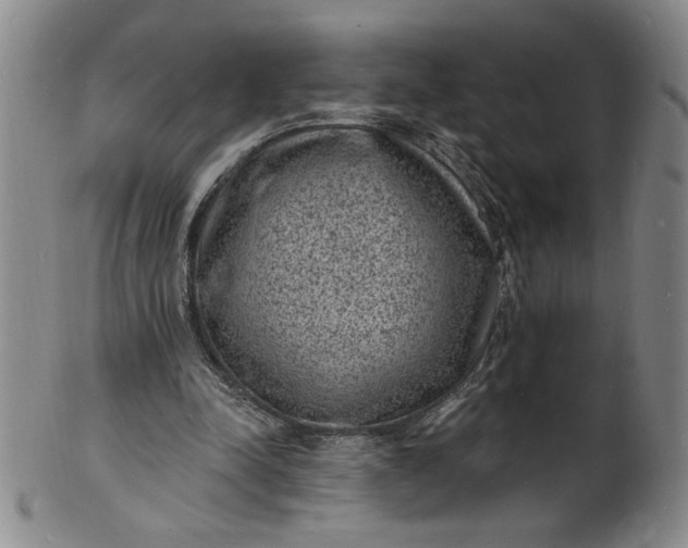 X0000102230342200808081352